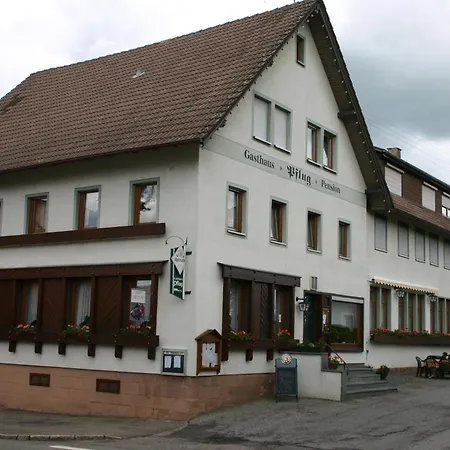 Pflug Bed and breakfast